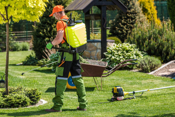 Best Lawn Pest Control  in Fredonia, KS